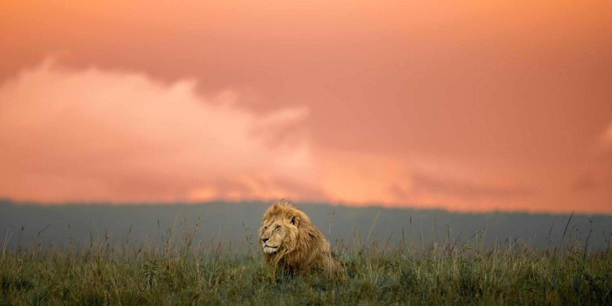 Olkinyei Mara Tented Camp Talek Luaran gambar