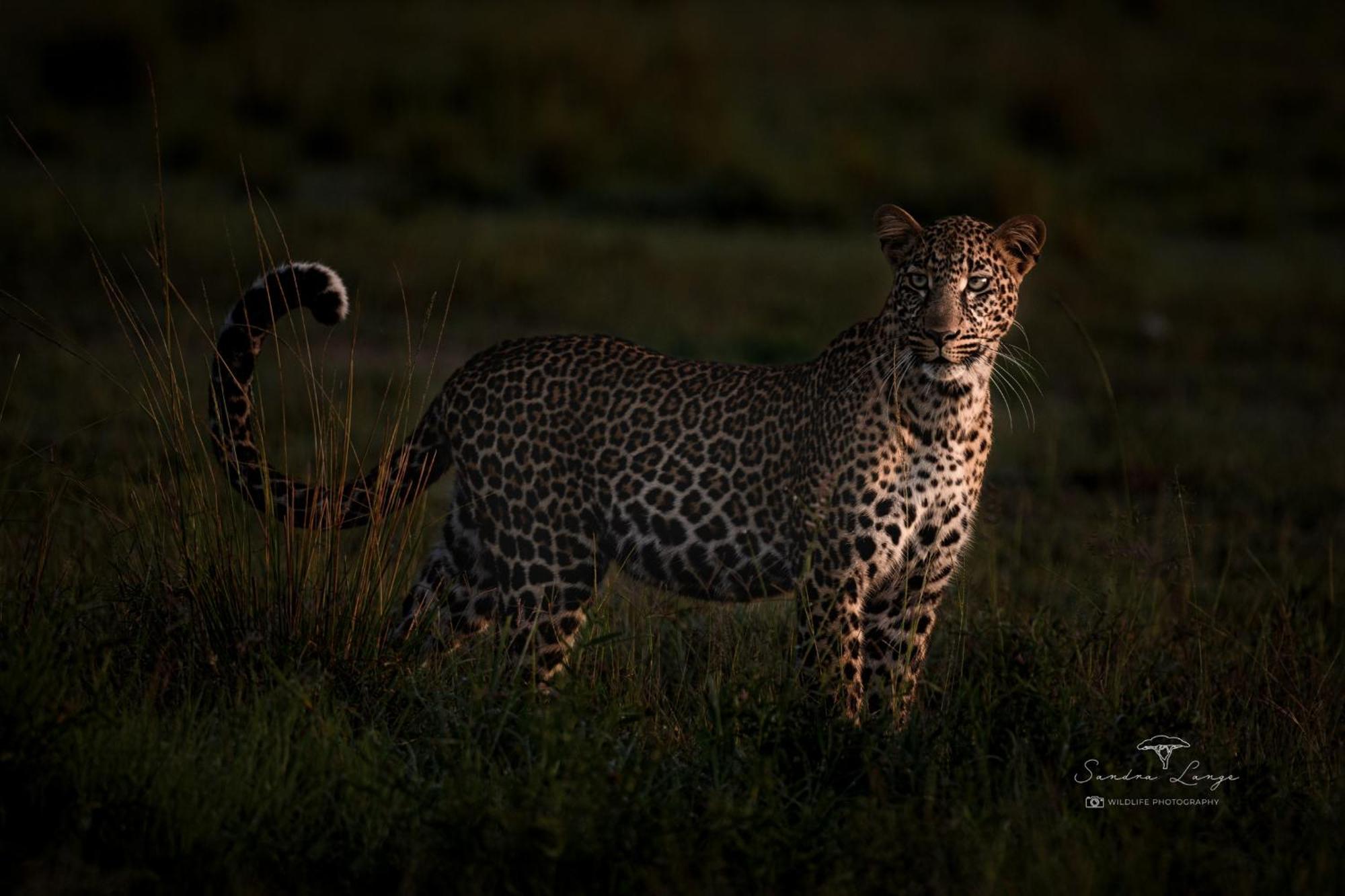Olkinyei Mara Tented Camp Talek Luaran gambar