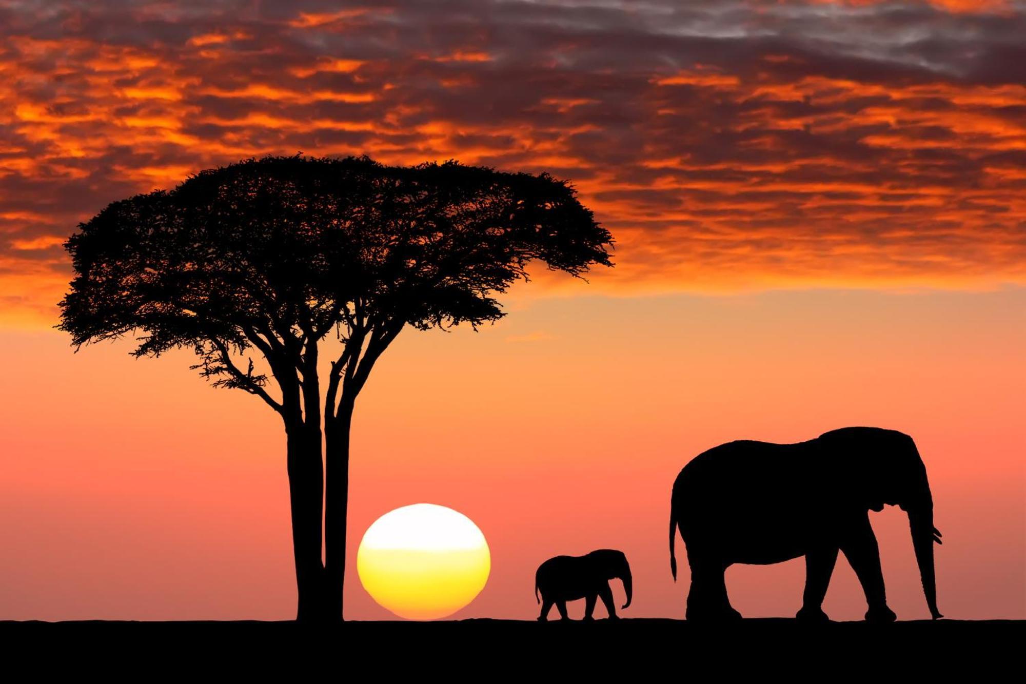 Olkinyei Mara Tented Camp Talek Luaran gambar