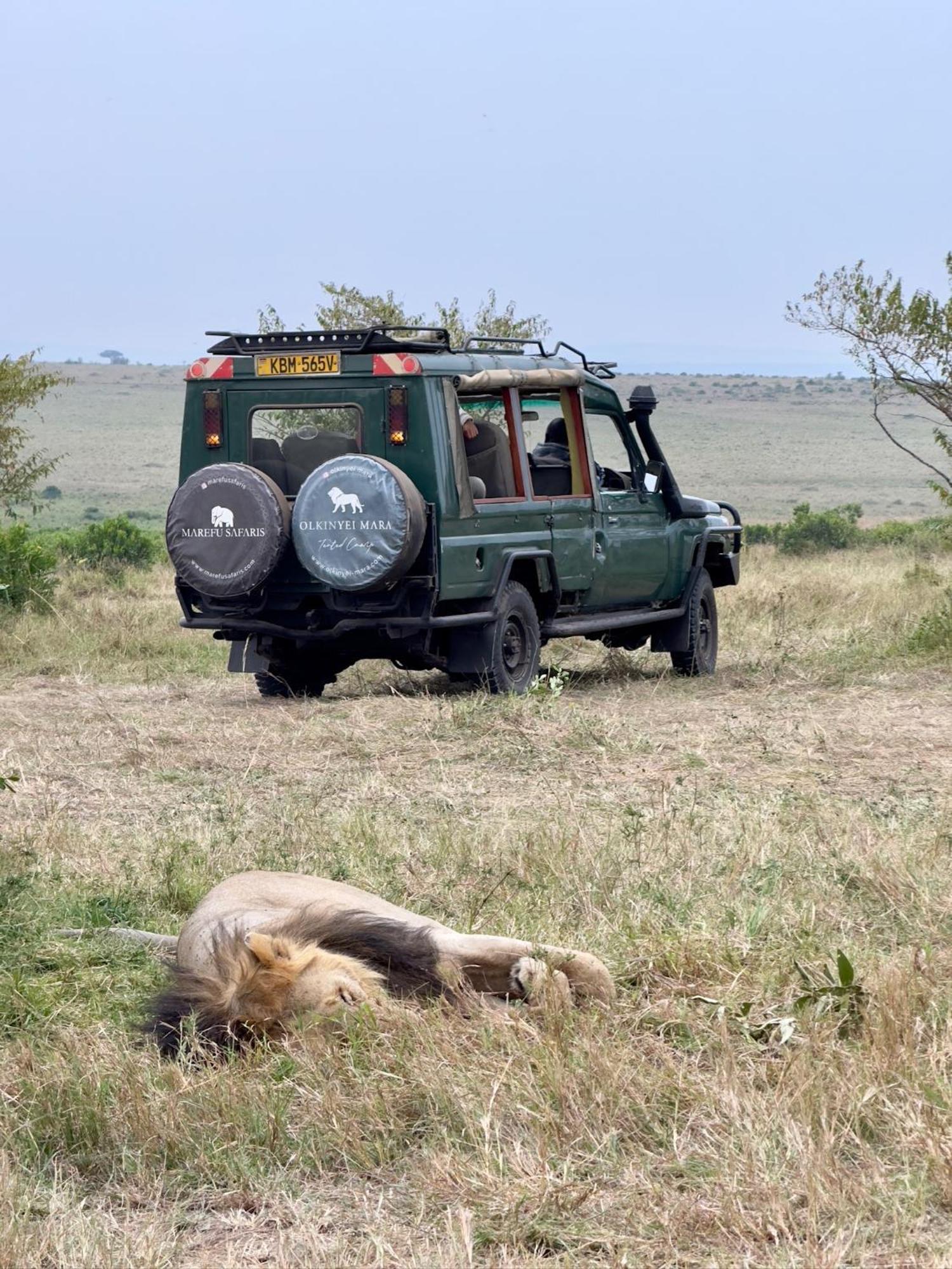 Olkinyei Mara Tented Camp Talek Luaran gambar